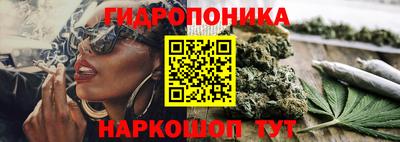 винт Северобайкальск