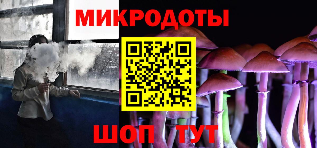 Галлюциногенные грибы Psilocybine cubensis Орск